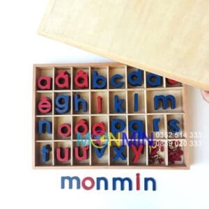 Chữ di động Tiếng Việt - Nét in thường - Học ghép chữ thành câu - Giáo cụ Montessori - Monmin